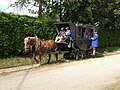 Gespann mit Personenwagen