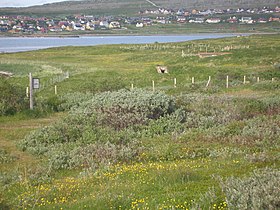 Vadsø