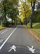 Footpath and cyclepath - geograph.org.uk - 6312030.jpg