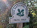 Frog Firle