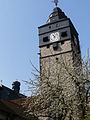 The town tower.