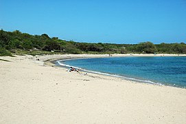 Playa Manglillo