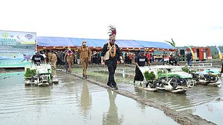 Mentan SYL Tanam Padi di Papua, Dukung Persiapan Ketahanan Pangan Papua, dAN mALUKU.jpg