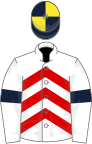 White and red chevrons, white sleeves, dark blue armlets, dark blue and yellow striped cap