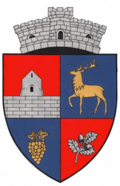 Wappen von Valea Lungă (Alba)