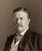 Retrato de Theodore Roosevelt.