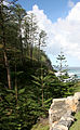 Kingston, Norfolk Island