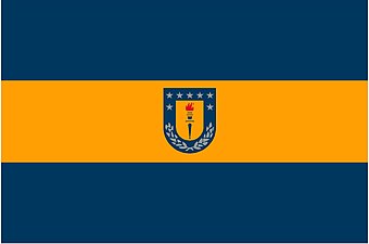 Drapeau de l'Université de Concepción.