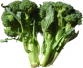 Brassica oleracea var. italica, i broccoli
