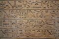 Hieroglifoj