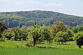 Der Berg Erbig in de:Schweinheim (Aschaffenburg), Unterfranken/Bayern