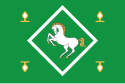 Flag of Yanaul