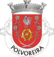 Vlag van Polvoreira