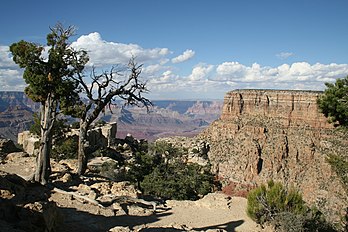 Le parc national du Grand Canyon, situé en Arizona (États-Unis), a été fondé en 1919 et couvre un territoire protégé de 4 927 km2. La diversité naturelle et paysagère de la région a été reconnue patrimoine mondial de l’Humanité par l’UNESCO en 1979. (définition réelle 3 504 × 2 336)