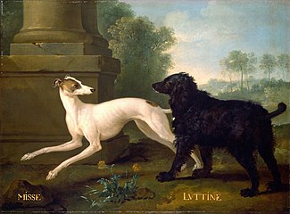 Misse et Luttine, chiens de Louis XV (1729), National Gallery of Art (Washington).