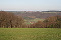 Blick von Storchsnest nach Büchelberg