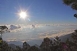 Clima subhumedo de montaña Pico Celaque