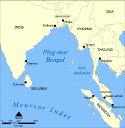 Pleg-mor Bengal