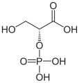 Deutsch: Struktur von D-2-Phosphoglycerinsäure English: Structure of D-2-phosphoglyceric acid