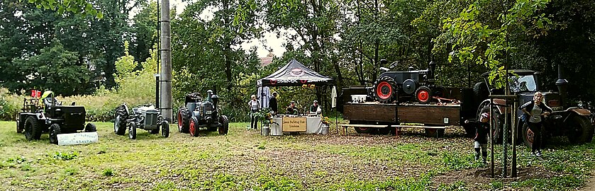 Der Lanz-Bulldog-Club beim Ernstedankfest der Lausitz 2018 in Elsterwerda