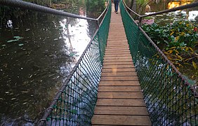 Flexible romantic bridge in exotic garden جسر رومانسي مرن في حديقة غريبة.jpg