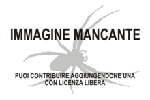 Immagine di Epeiroides bahiensis mancante