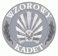 Odznaka tytułu honorowego "Wzorowy Kadet" (wzór 2010).