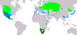 Distribución de P. nigricollis     Área reprodutora      Residente      De paso      Área non reprodutora