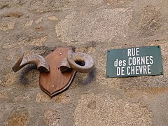 Rue chèvres Bellegarde-en-Marche.jpg