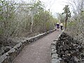 Badia Tortuga, inici de la ruta a peu