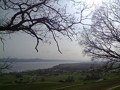 Vue de la bataille de Grandson.