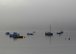 Early morning mist on the Helford River - geograph.org.uk - 4679075.jpg