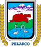 Coat of arms of Pelarco