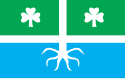 Flag of Torma Parish