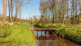 Houten bruggetje over waterloop. Locatie, natuurterrein Beekdal Linde Bekhofplas 03.jpg