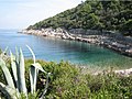 Javorna bay (island of Lošinj)