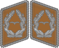 Kragenspiegel Luftwaffe