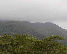 Mayan Mountains Petén