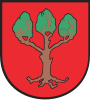 Coat of arms of Lubraniec