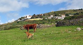 Vista da Fajã da Ovelha