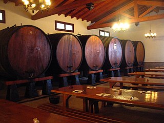 Cider drinking hall in the Basque Country