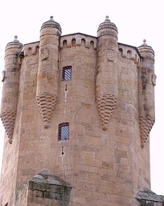 Escaraguaitas de la torre clavero en Salamanca.