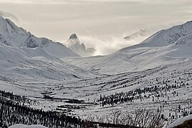 Monte Tombstone Yukon