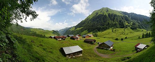 المنطقة الريفية النمساوية شوبرناو في الصيف