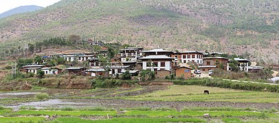 Yowakha, Bhutan 01.jpg