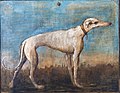 Greyhound, obraz znázorňující psa