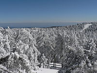 Ձմեռային Տրոոդոս