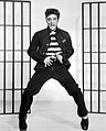 Image 1Elvis Presley was the best-selling musical artist of the decade. He is considered as the leading figure of the rock and roll and rockabilly movement of the 1950s. (from 1950s)