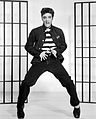 Image 41American singer Elvis Presley is known as the "King of Rock and Roll". (from Honorific nicknames in popular music)