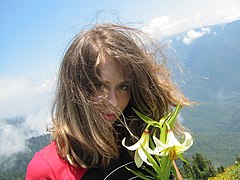 Gagra, Abkhazia, Lilium Flower.jpg